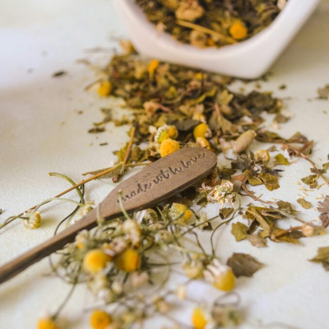 nia-ramirez-C1dunESLYBQ-unsplash-scaled